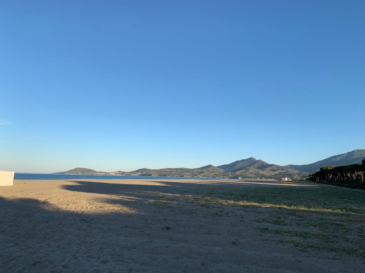 L'Argelesienne - 60M2 De Charme Et De Confort Au Coeur D'Argeles Dış mekan fotoğraf